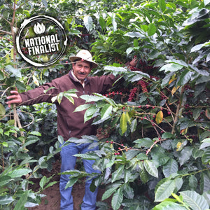 Guatemala Huehuetenango Campamento Alto - Green coffee