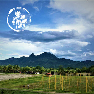 Nicaragua Finca La Bendicion Pacamara Natural - Direct Relationship