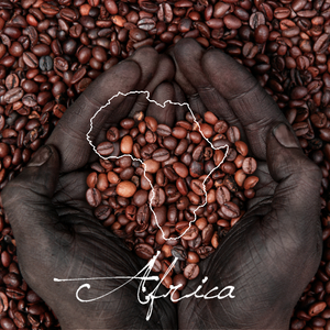 Ethiopia Yirgacheffe Kochere Natural - Serve Coffee