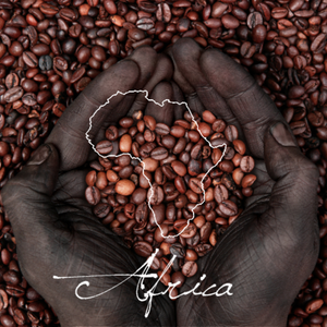 Coffee Club Gift - 12 Months - Serve Coffee