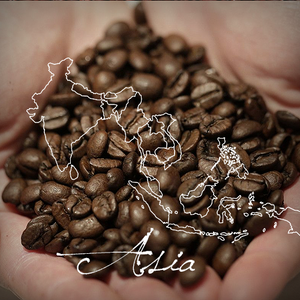 Serve Coffee Single Origin Select Gift Subscription